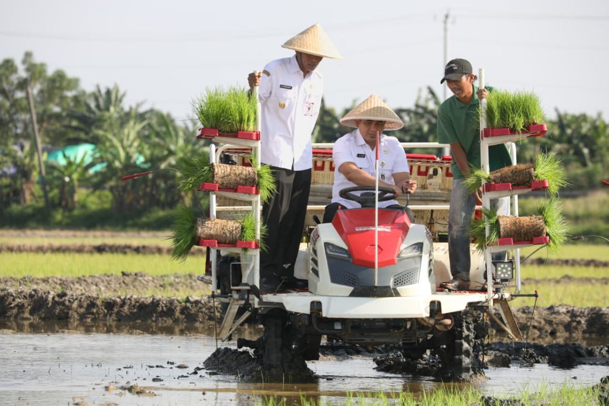 Sawah 512 ha terdampak banjir di Demak berhasil dipulihkan