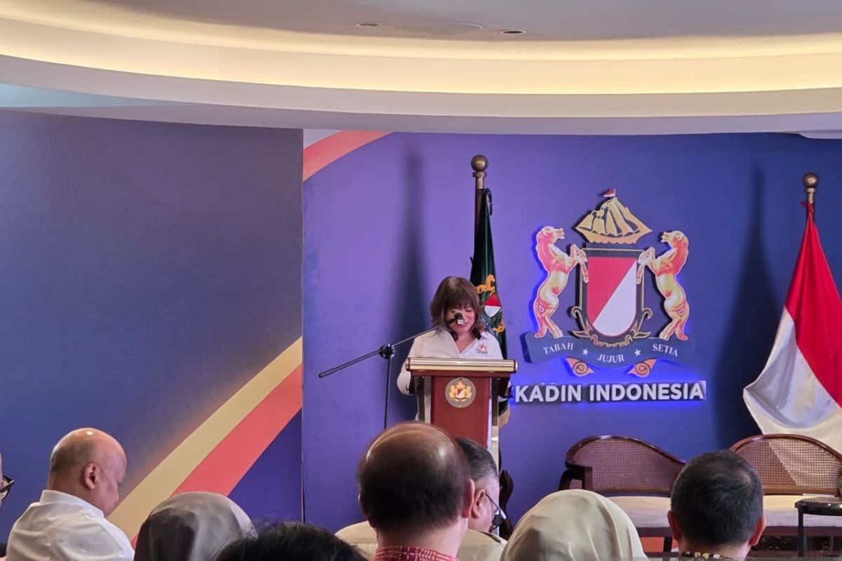 Kadin pastikan dunia usaha dilibatkan dalam revisi aturan impor baru