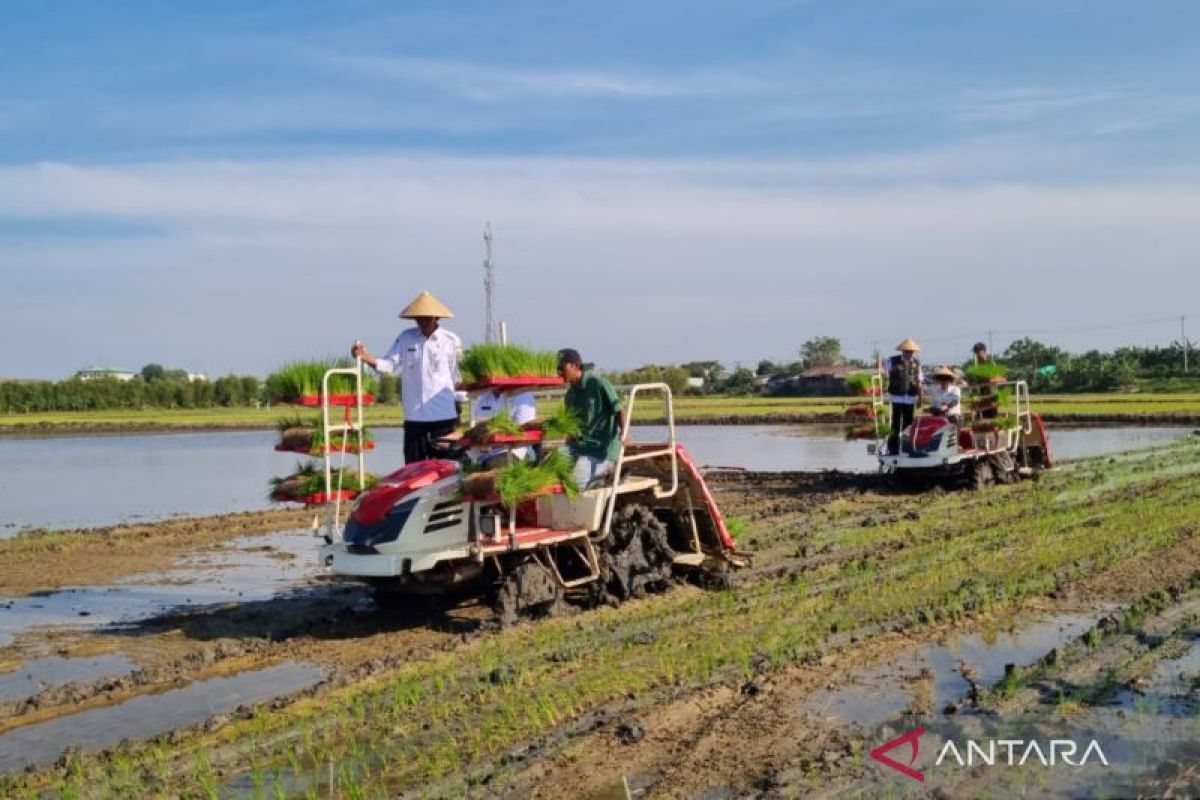 Pemprov Jateng optimistis Demak bisa jadi lumbung pangan Jateng