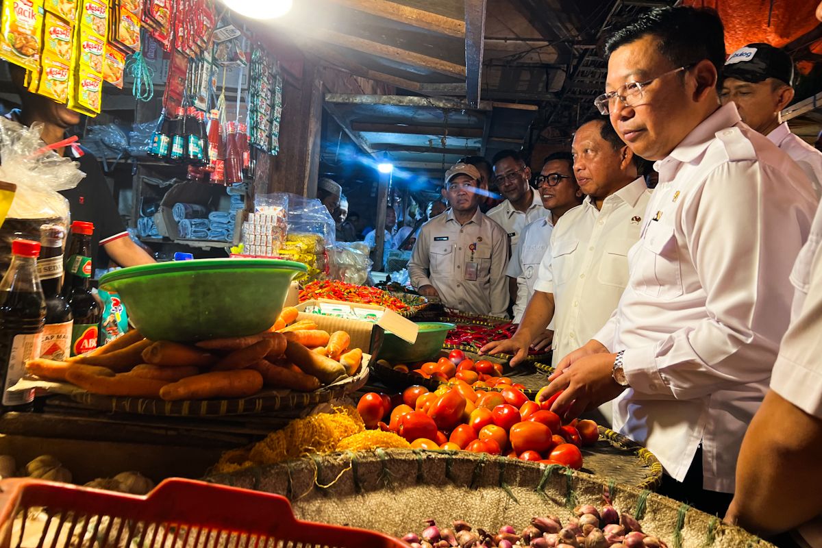 Bapanas: Harga cabai rawit Rp34.585/kg, bawang merah Rp39.679/kg