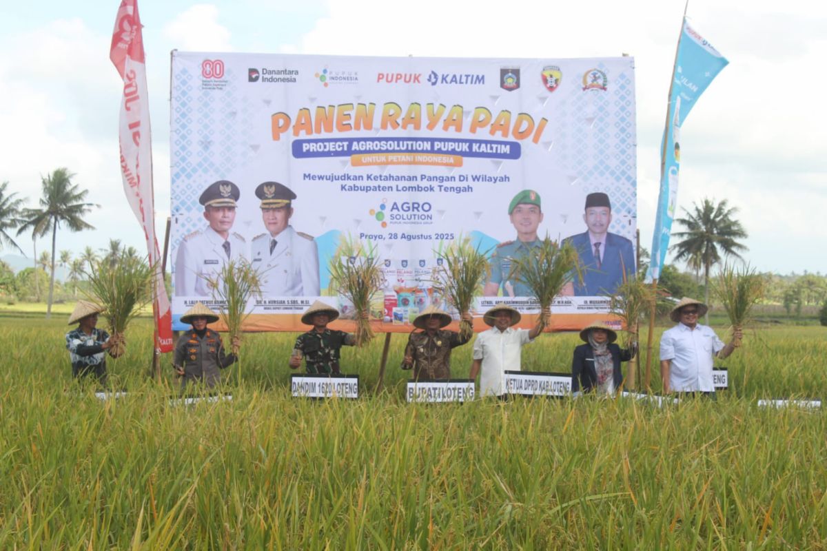 Stok pangan di Lombok Tengah bertambah 25 ribu ton
