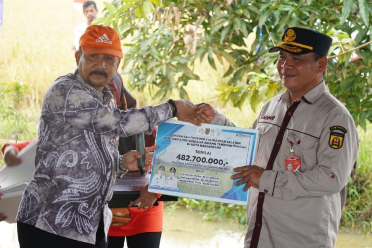Pemkot Banjarbaru panen padi di sawah seluas 872 hektare