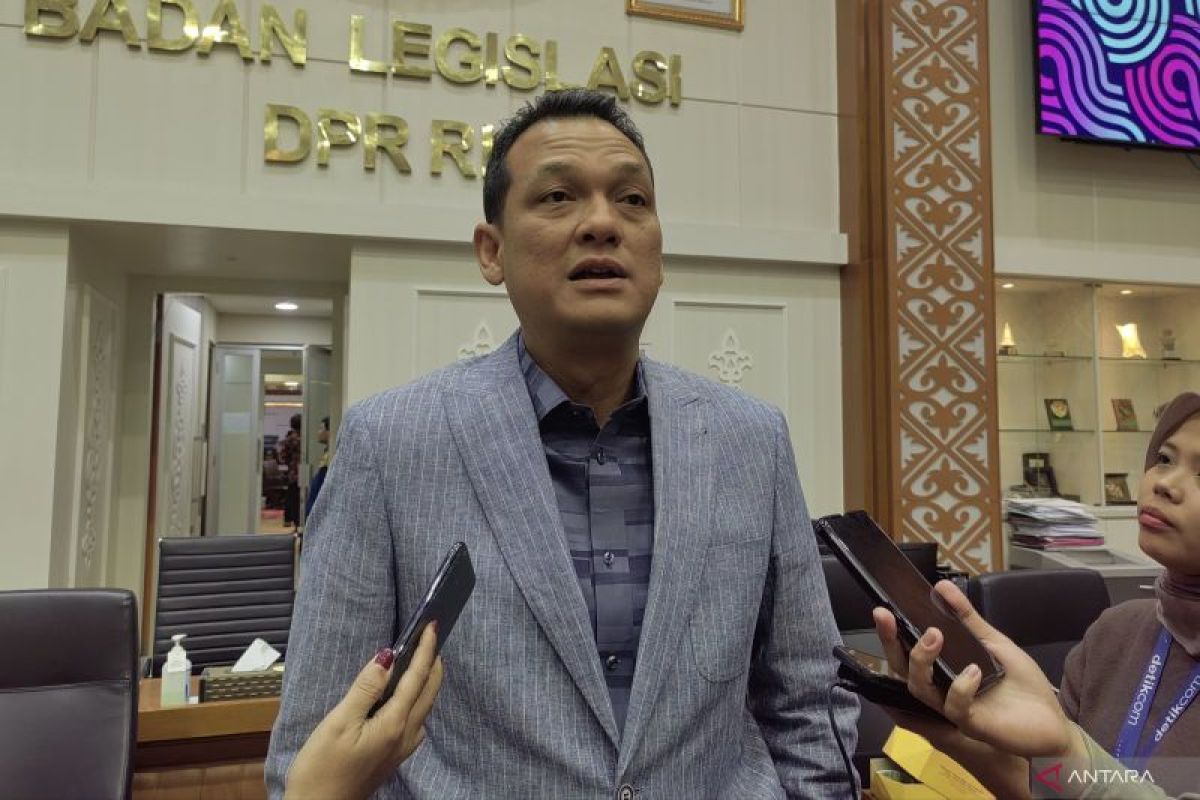 Martin sebut DPR sepi saat ada aksi sebab Kamis jadwal kunjungan kerja