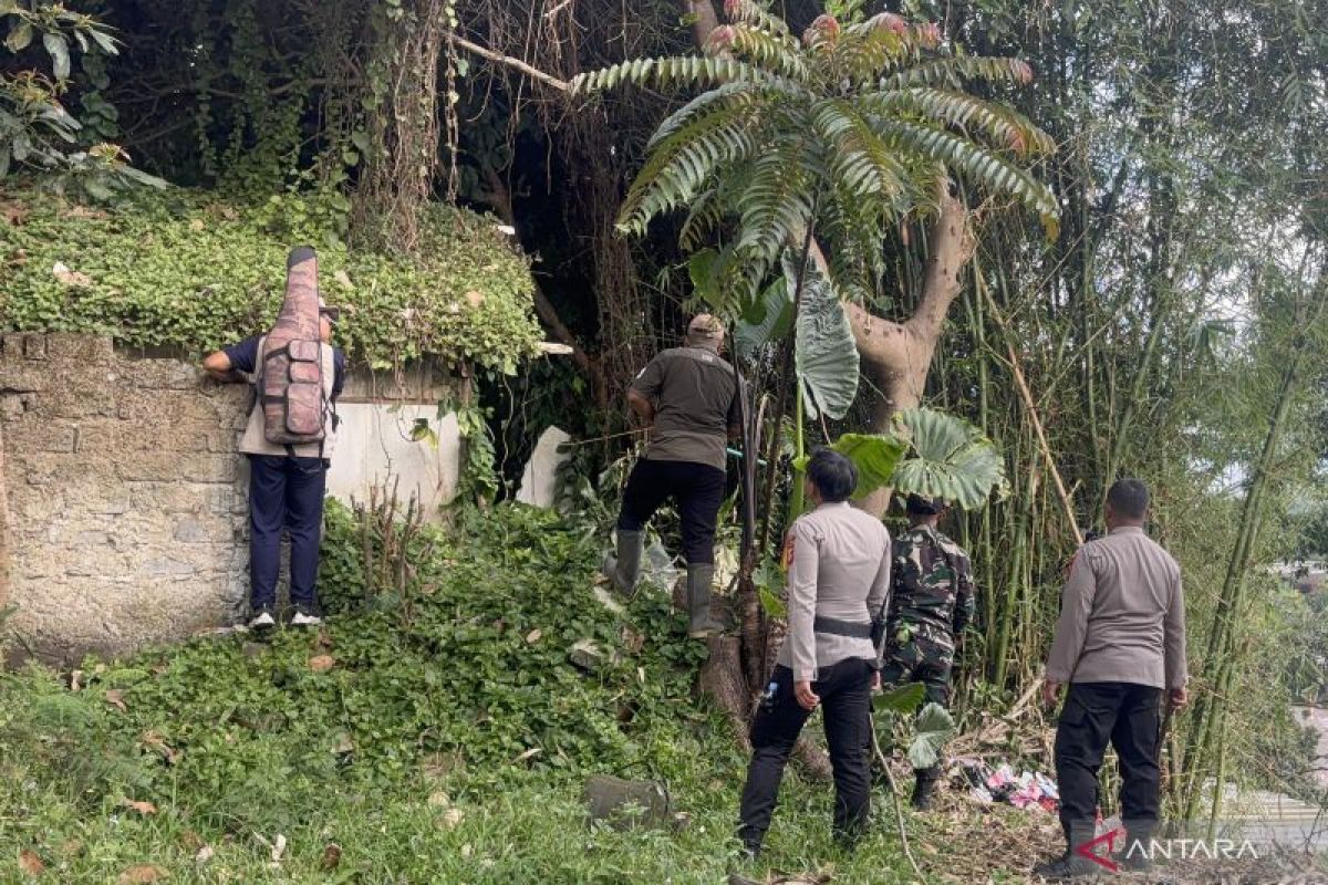Three-year-old Leopard on the loose after escape from Lembang Zoo