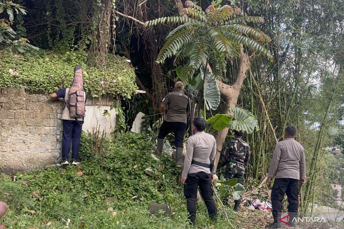Lembang Park Zoo sebut macan tutul kabur dengan menjebol atap kandang