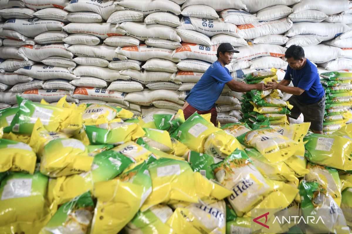 Bulog ensures quality of 3.9 mln tons of government rice reserves
