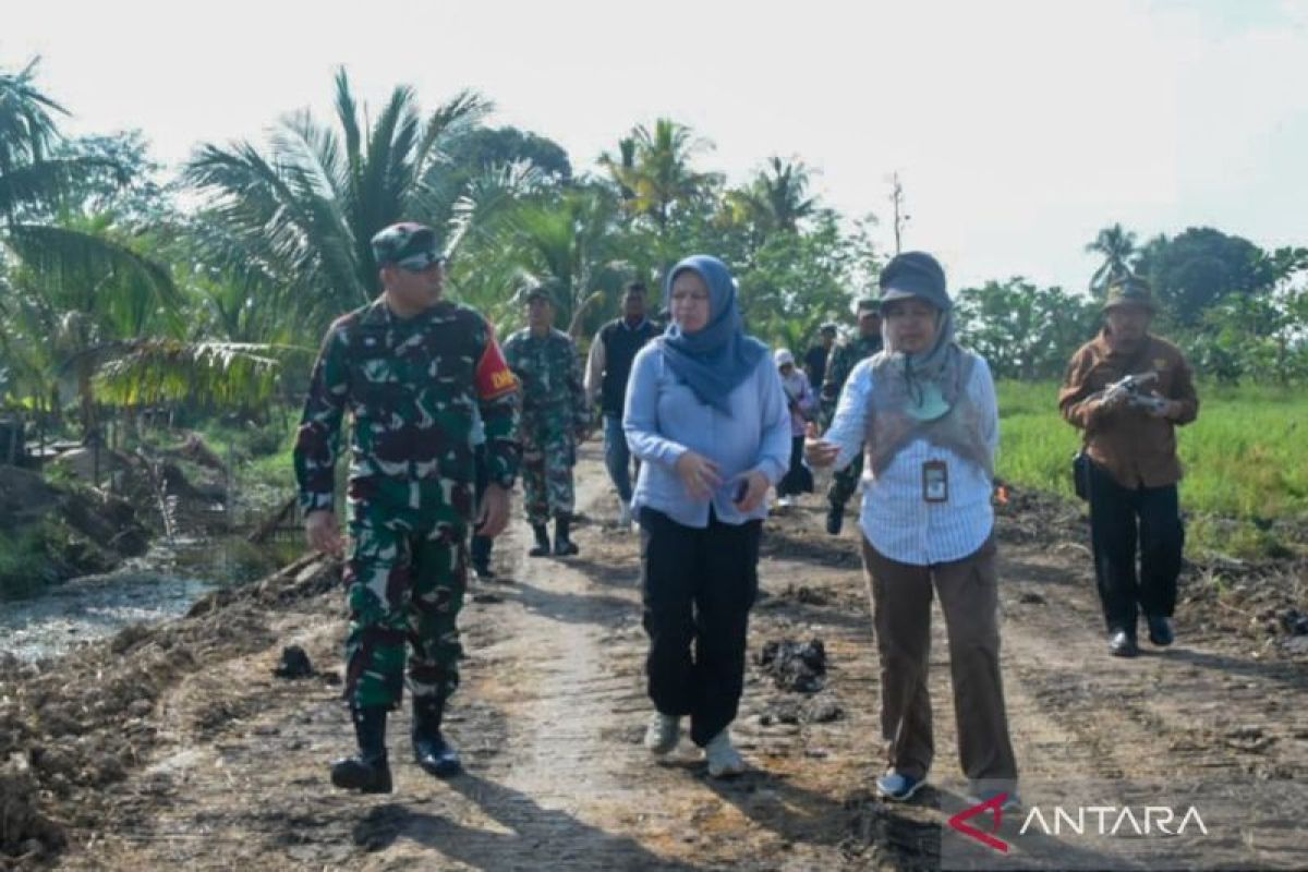Kementan RI tinjau cetak sawah rakyat 200 hektare di Desa Perumahan HST