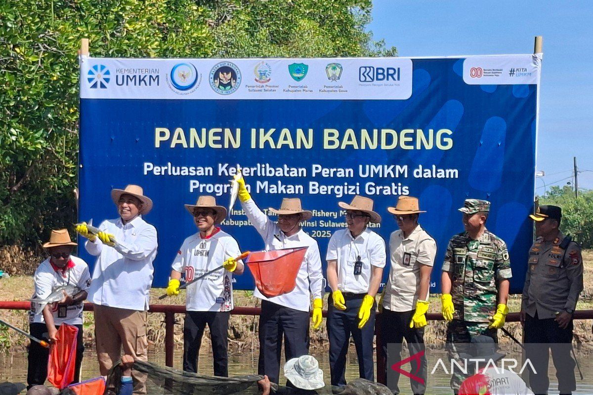 Ministry strengthens MSMEs in fisheries sector to support MBG program