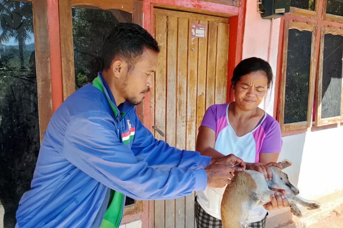 Pemkab Mabar vaksinasi HPR di 12 kecamatan guna cegah penyebaran rabies