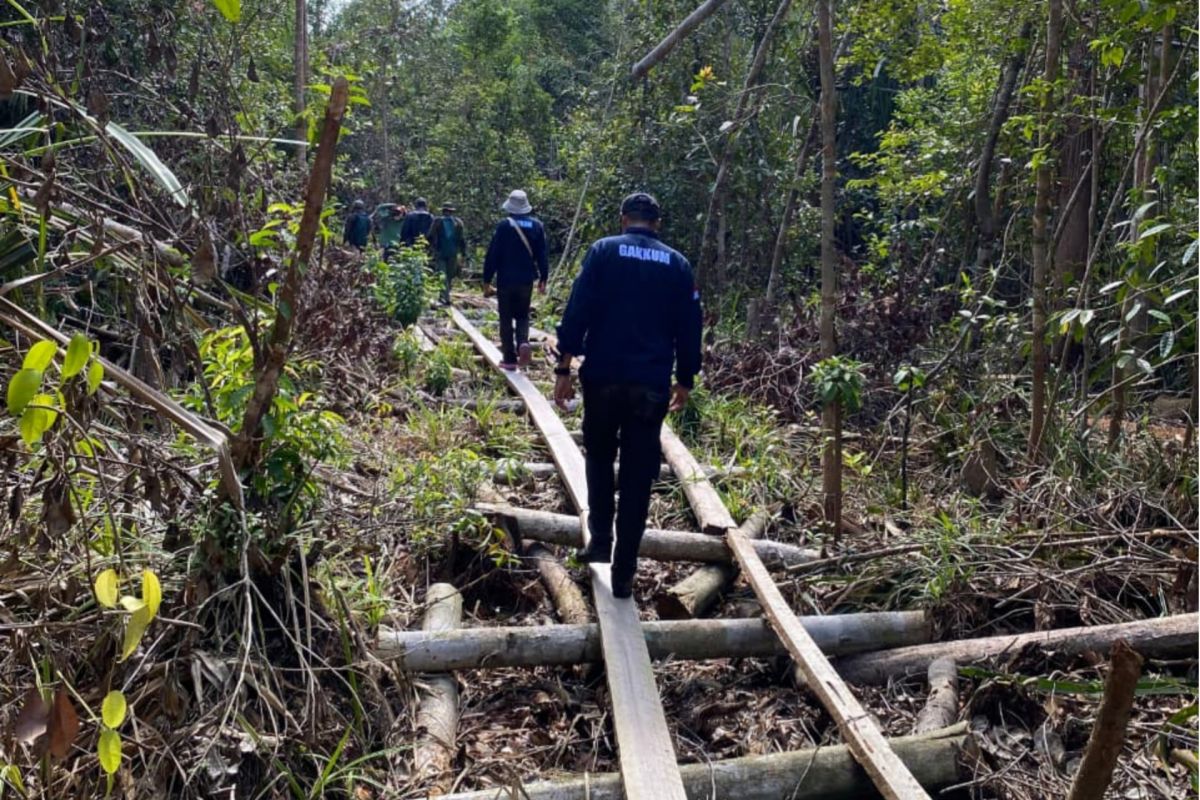 Forestry Ministry apprehends illegal logger leader in Riau