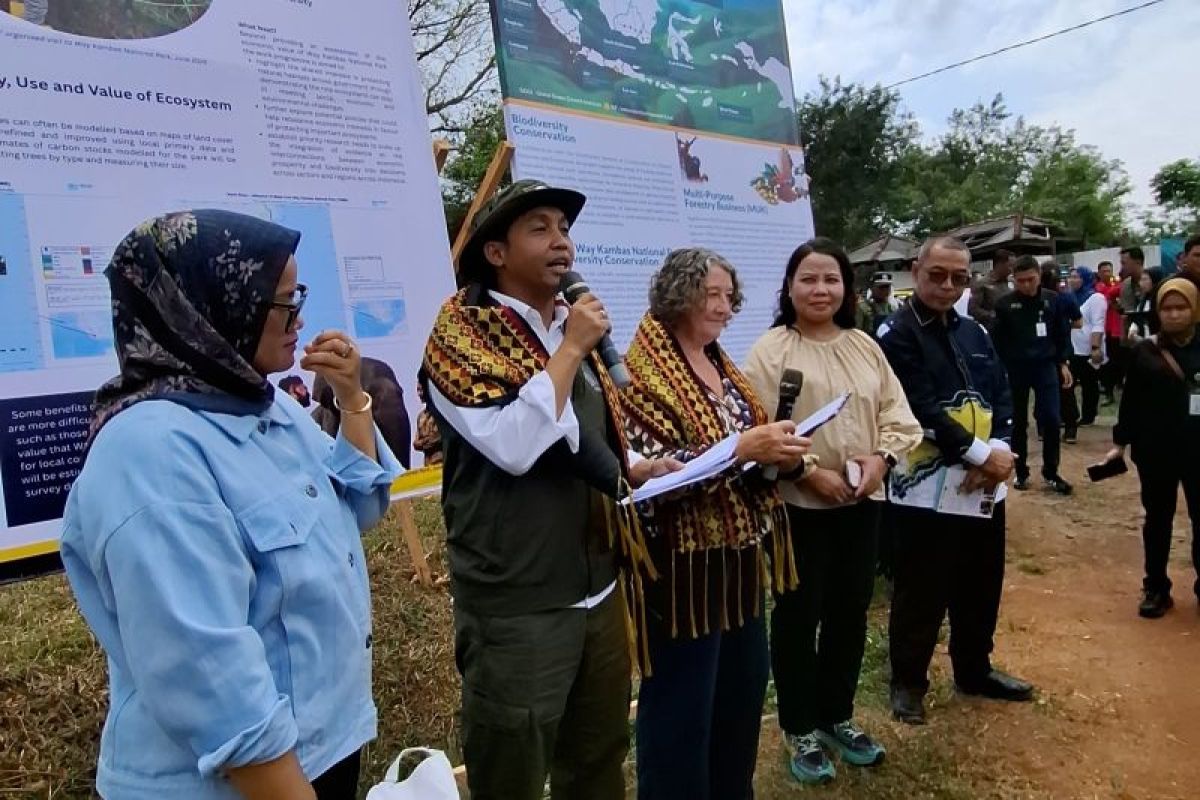 Govt to replicate Aceh elephant corridor in Lampung to curb conflict