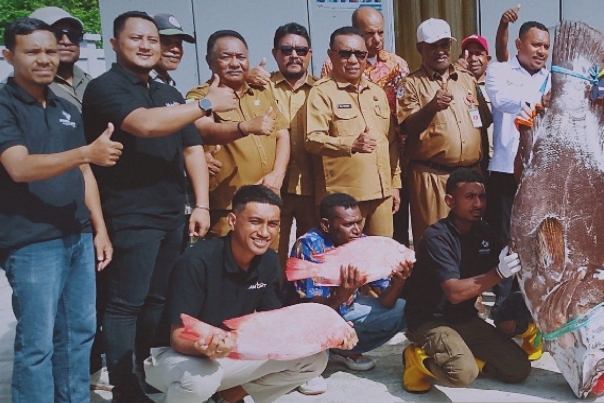Diskop Biak harap 251 Kopdes Merah Putih tampung hasil alam