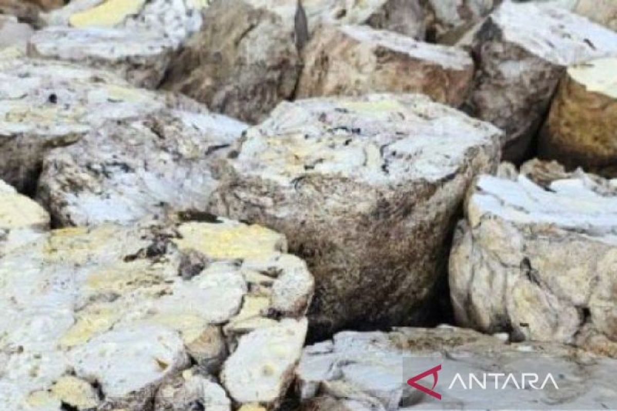 Gapkindo catat ekspor karet Sumut  Juli 2025 capai 19.786 ton