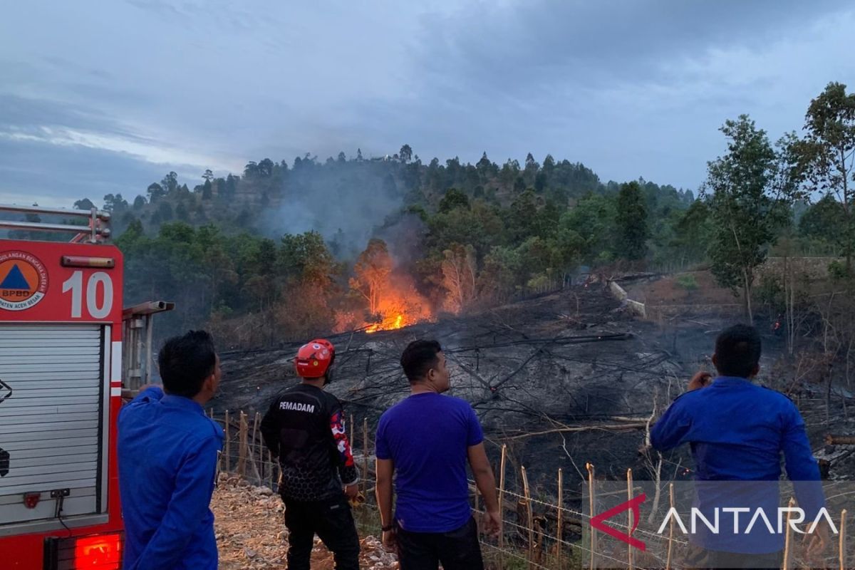 BNPB coordinates with local govts as land fires hit several regions