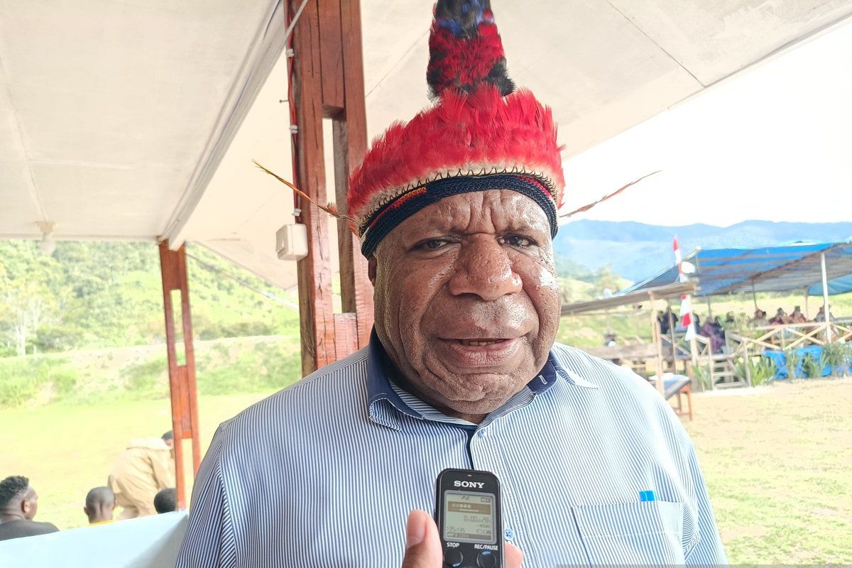 Pemprov: Terdapat 27 kawasan hutan lindung di Papua Pegunungan