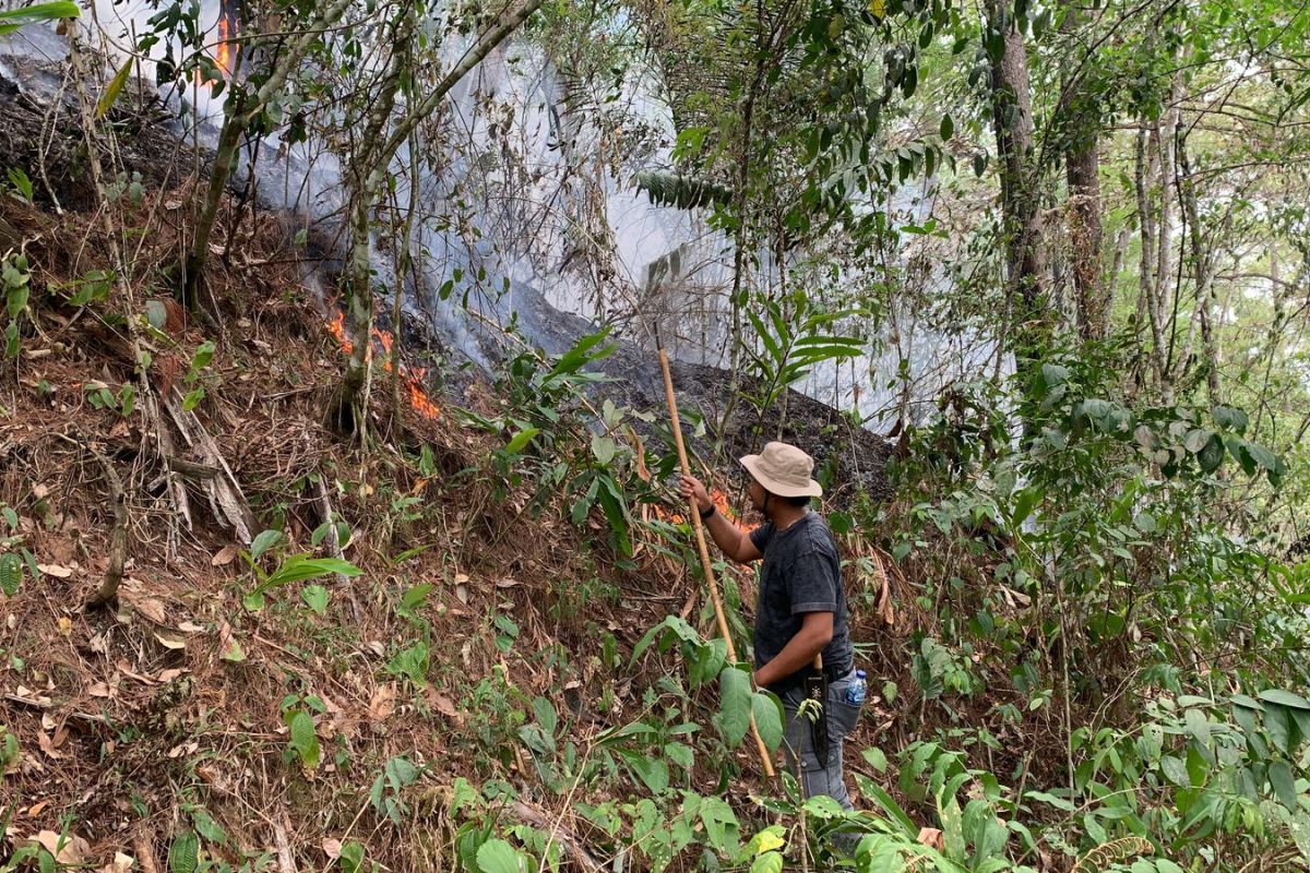 BPBD: Kebakaran hutan pinus di Agam meluas, capai tujuh hektare 