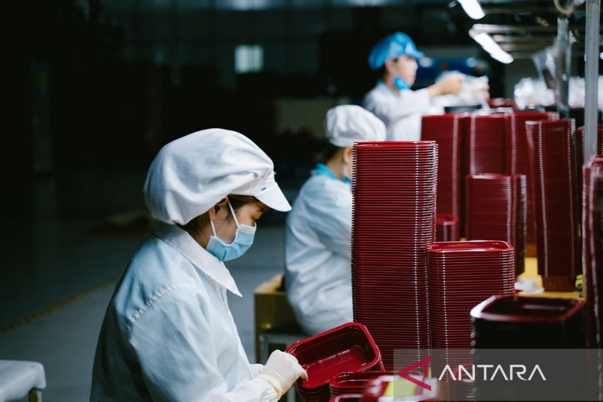 LPEI cetak laba bersih Rp101 miliar pada semester I 2025