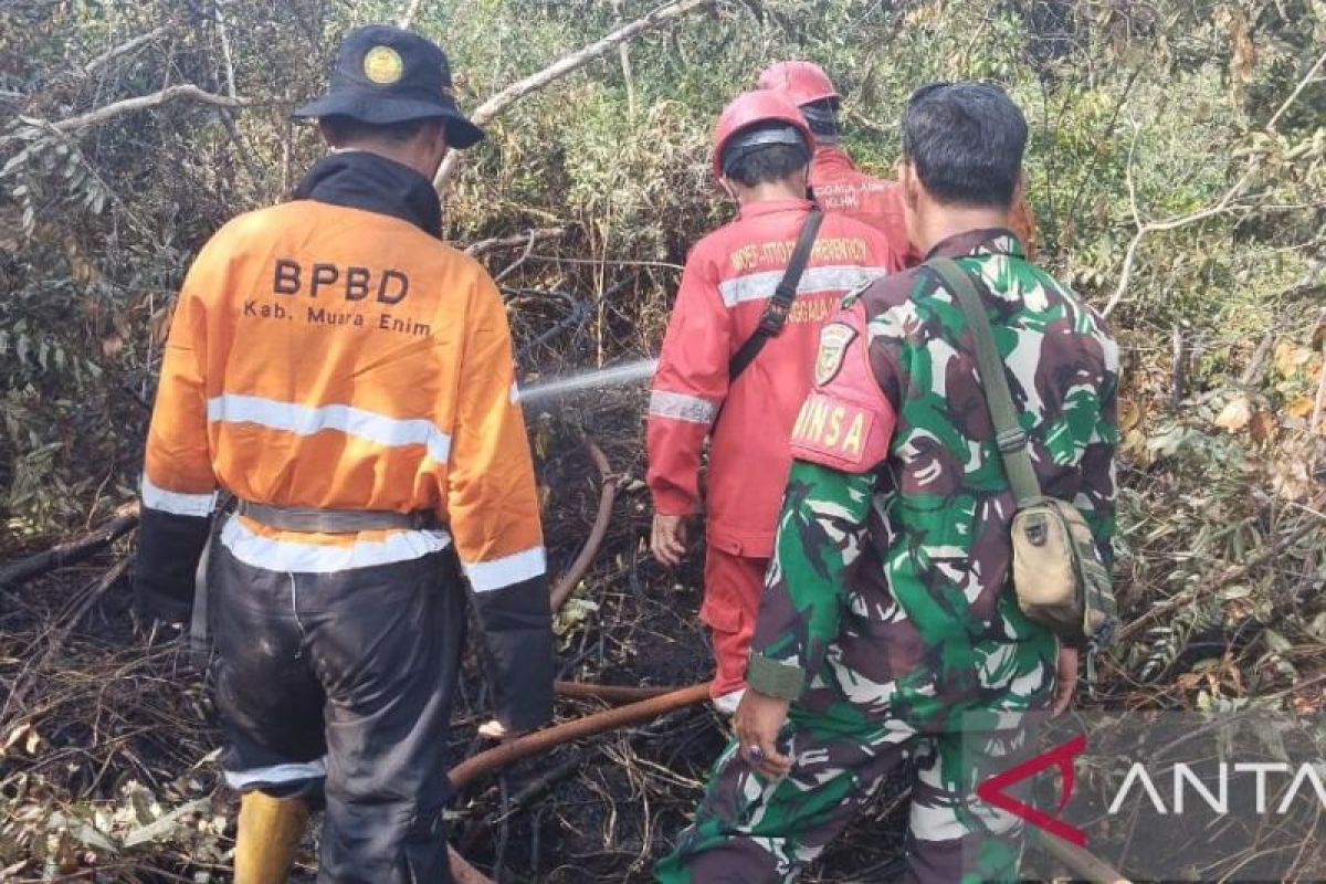 BPBD Muara Enim catat 101,8 hektare lahan terbakar hingga Agustus 2025