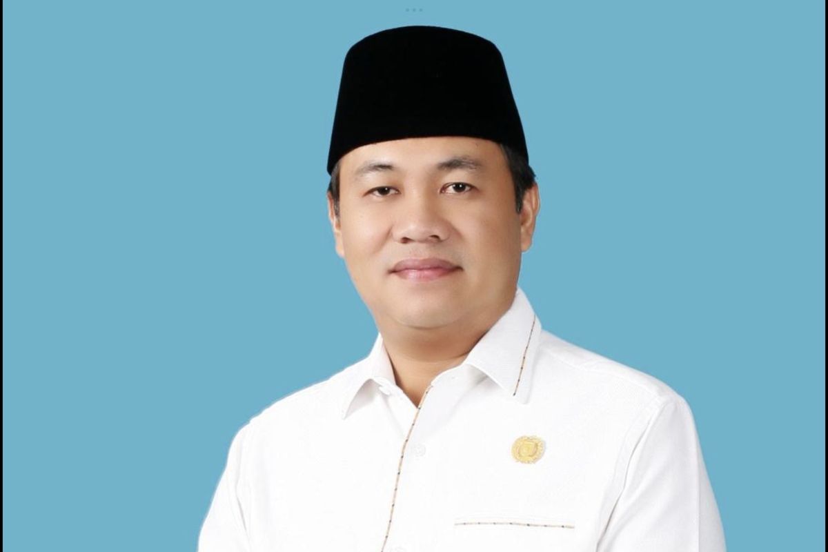 Anggota DPR dorong penguatan Gakkum ESDM berantas tambang ilegal