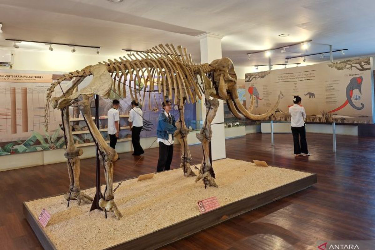 Museum NTT mencatat 5.434 pengunjung hingga Agustus 2025