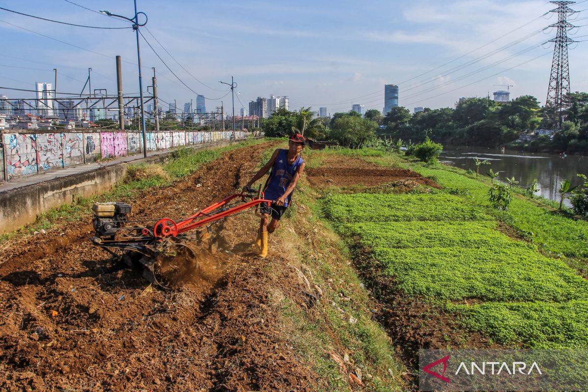 Jakbar sosialisasikan "urban farming"