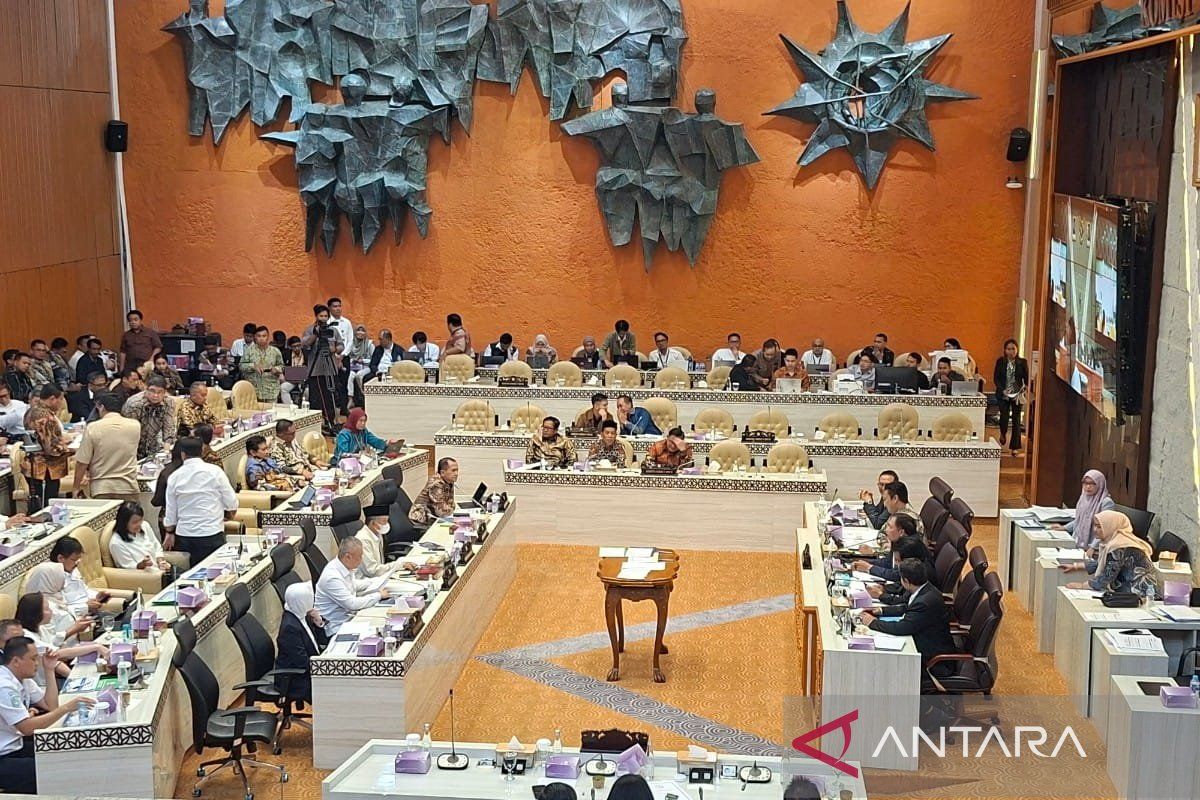 Hak budget DPR dan masa depan demokrasi Indonesia