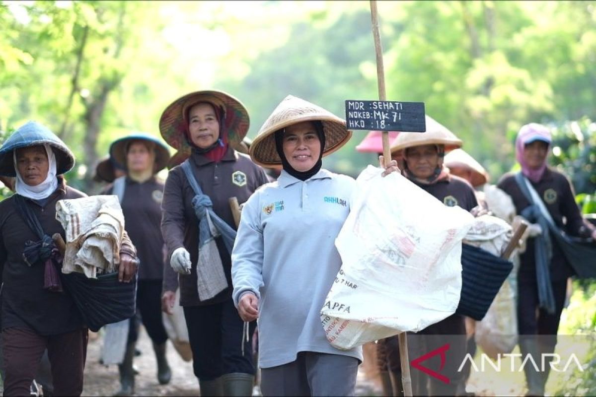 Filosofi pemberdayaan di Kampoeng Kopi Banaran