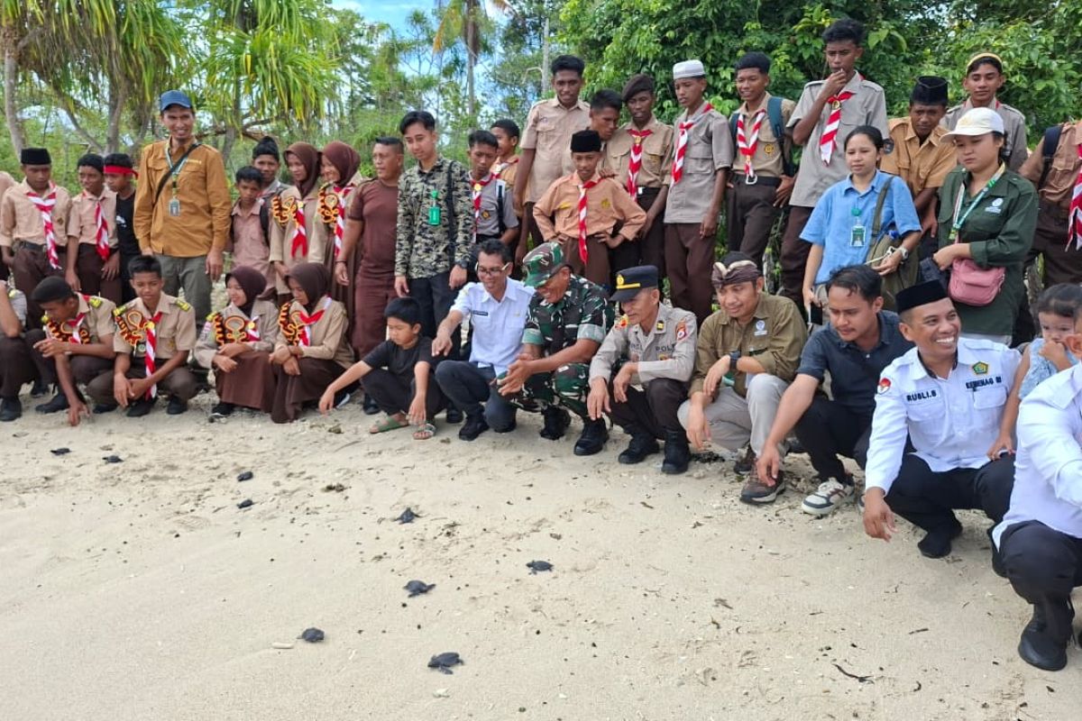 Balai TN Manusela Maluku lepas liarkan 19 ekor tukik di pantai