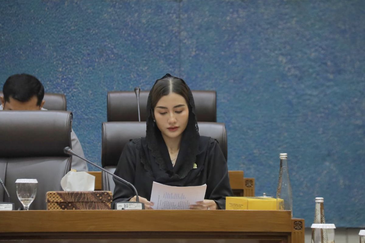 Anggota DPR sebut anggaran UMKM-Ekraf harus jawab kebutuhan rakyat