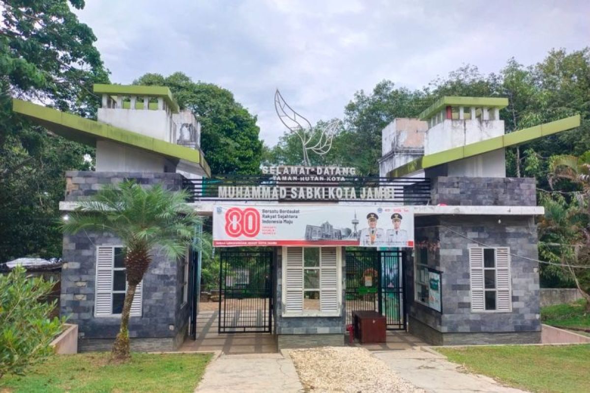 Ruang terbuka hijau Kota Jambi baru capai 14,5 persen