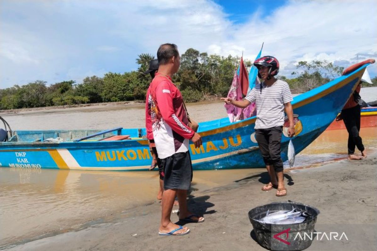Pendapatan nelayan Mukomuko hanya Rp20 juta per tahun