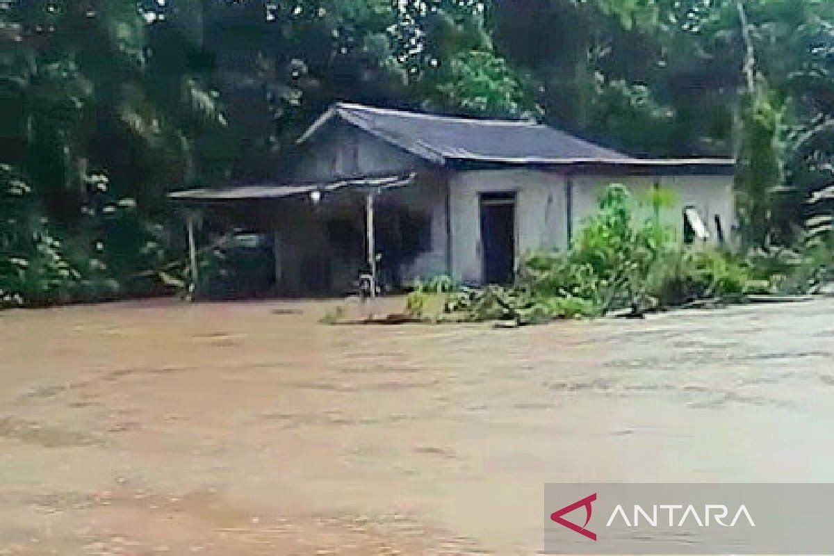 Satu desa di Kotim dilanda banjir luapan sungai