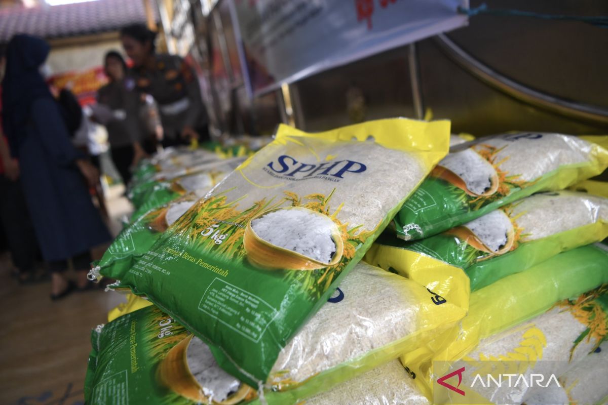 Minister urges regions to use Bulog rice to stabilize prices 