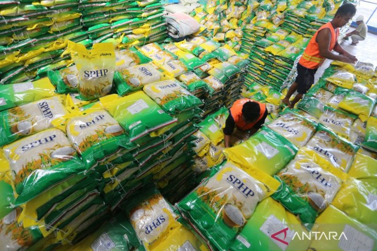 Pemerintah percepat penyaluran beras SPHP, kendalikan harga pangan