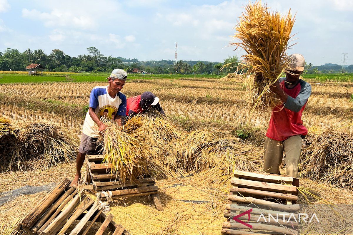 Agriculture Ministry pledges more transparent services for farmers