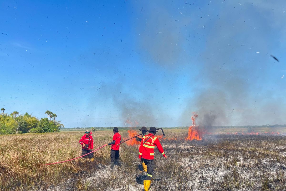 201 hektare lahan TN Rawa Aopa Sultra terbakar, baru padam dini hari