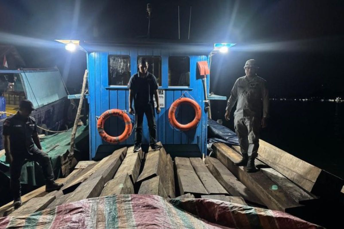 RI Govt seizes illegal timber shipment in Riau Islands