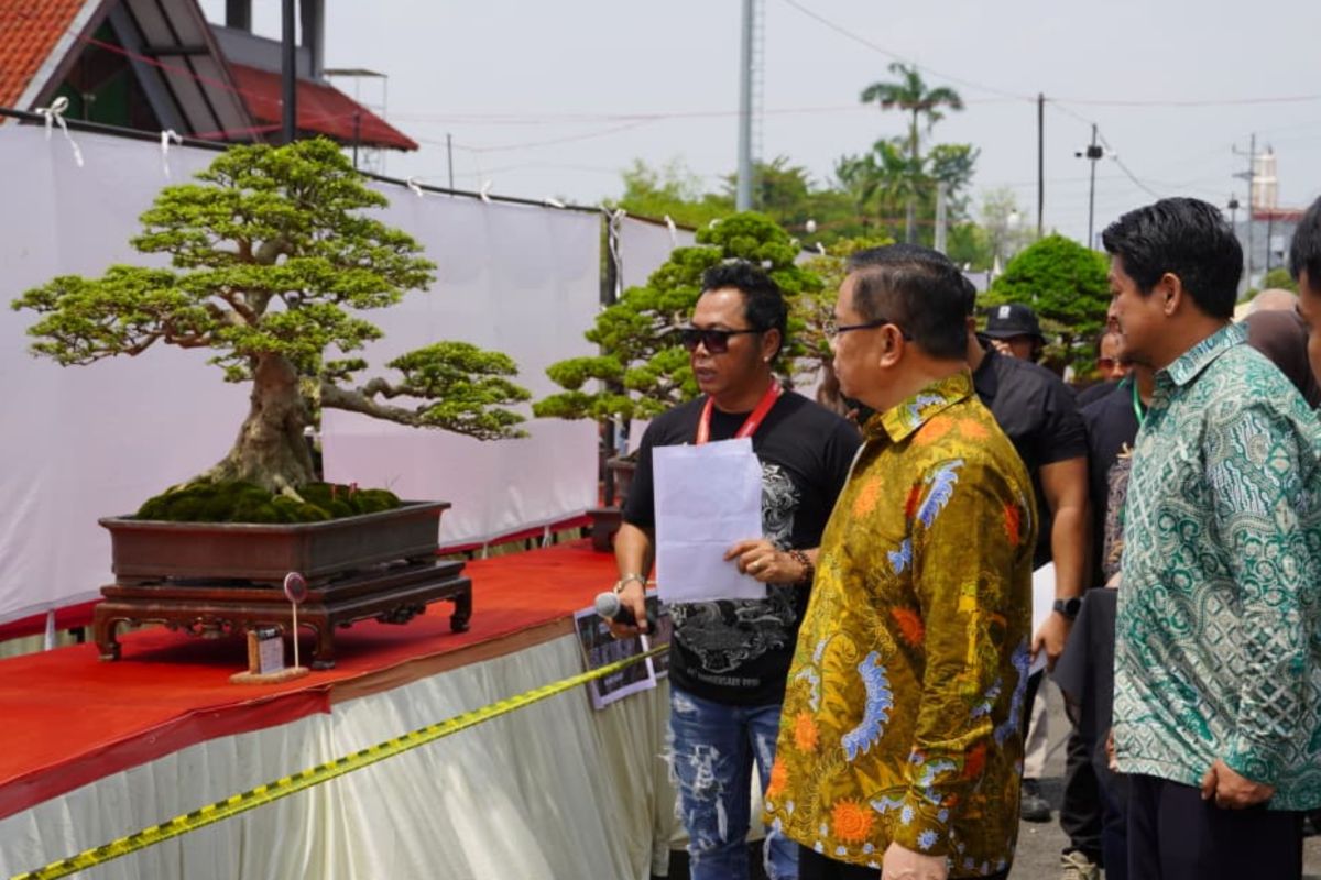 Bupati: Pameran bonsai  diharapkan dorong pertumbuhan ekonomi kreatif
