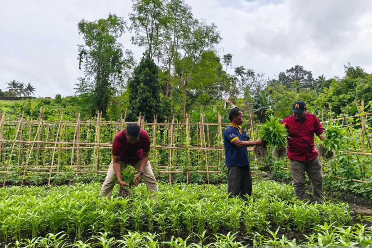 WBP Lapas Banda  tanam kangkung penuhi nutrisi
