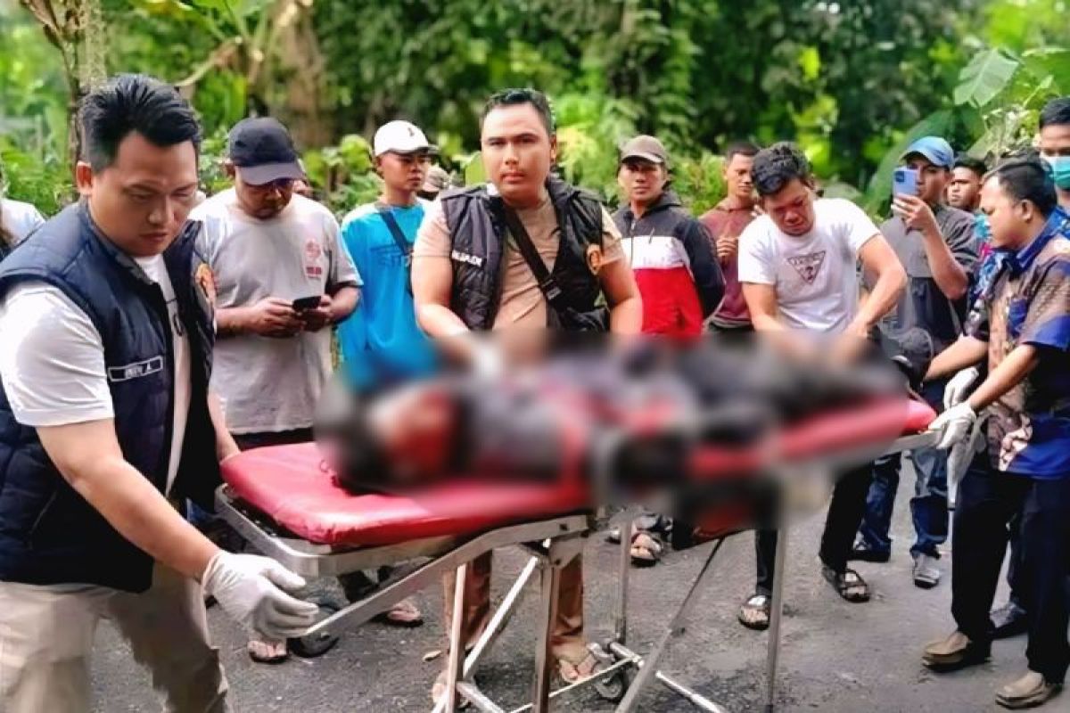 Warga OKU Timur diingatkan waspada pohon tumbang