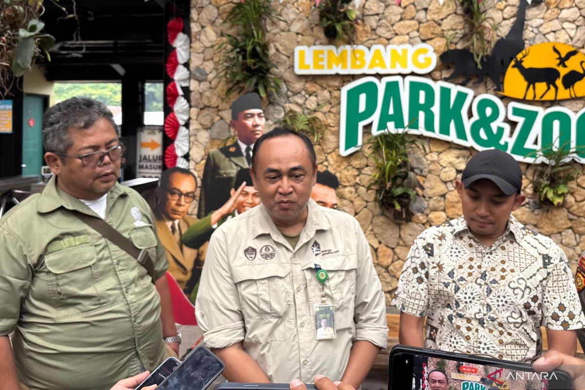 BBKSDA Jabar perluas pencarian macan tutul kabur ke Tangkuban Parahu