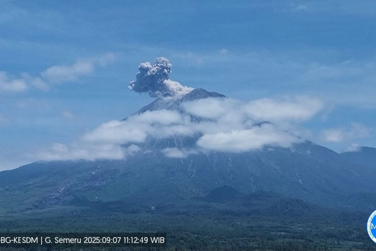 Semeru empat kali erupsi dengan tinggi letusan hingga 700 meter