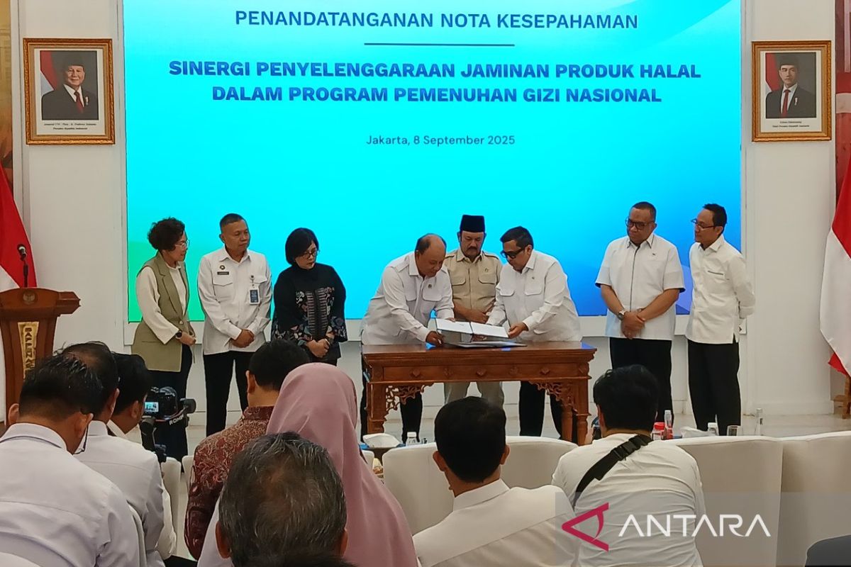 BPJPH berencana inspeksi pabrik nampan MBG di China minggu ini