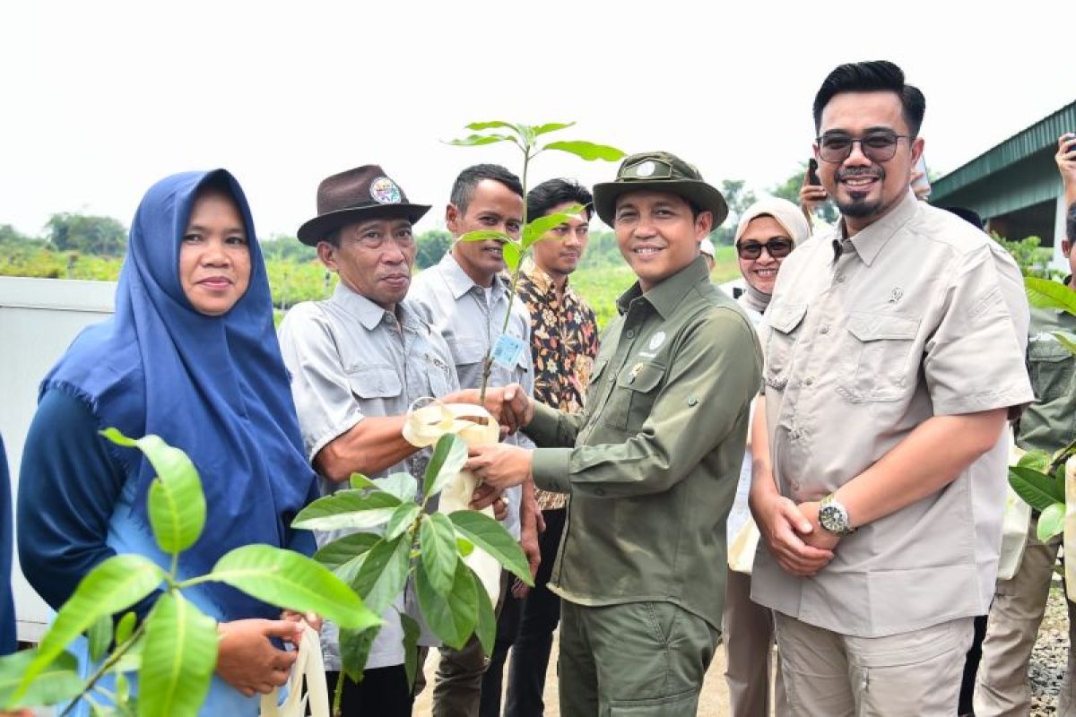 Gov't to share 17 million tree seedlings to people by 2025 end