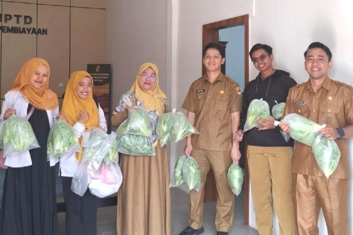 Ciptakan Pangan Sehat, Dinas Pangan Kota Solok Gencarkan Budidaya Hidroponik