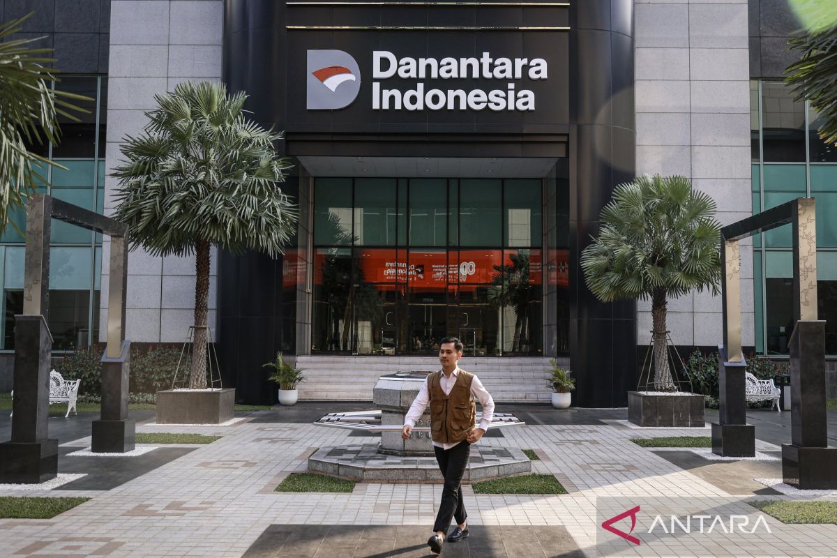 Danantara sebut peran dewan penasihat eksternal bersifat terbatas