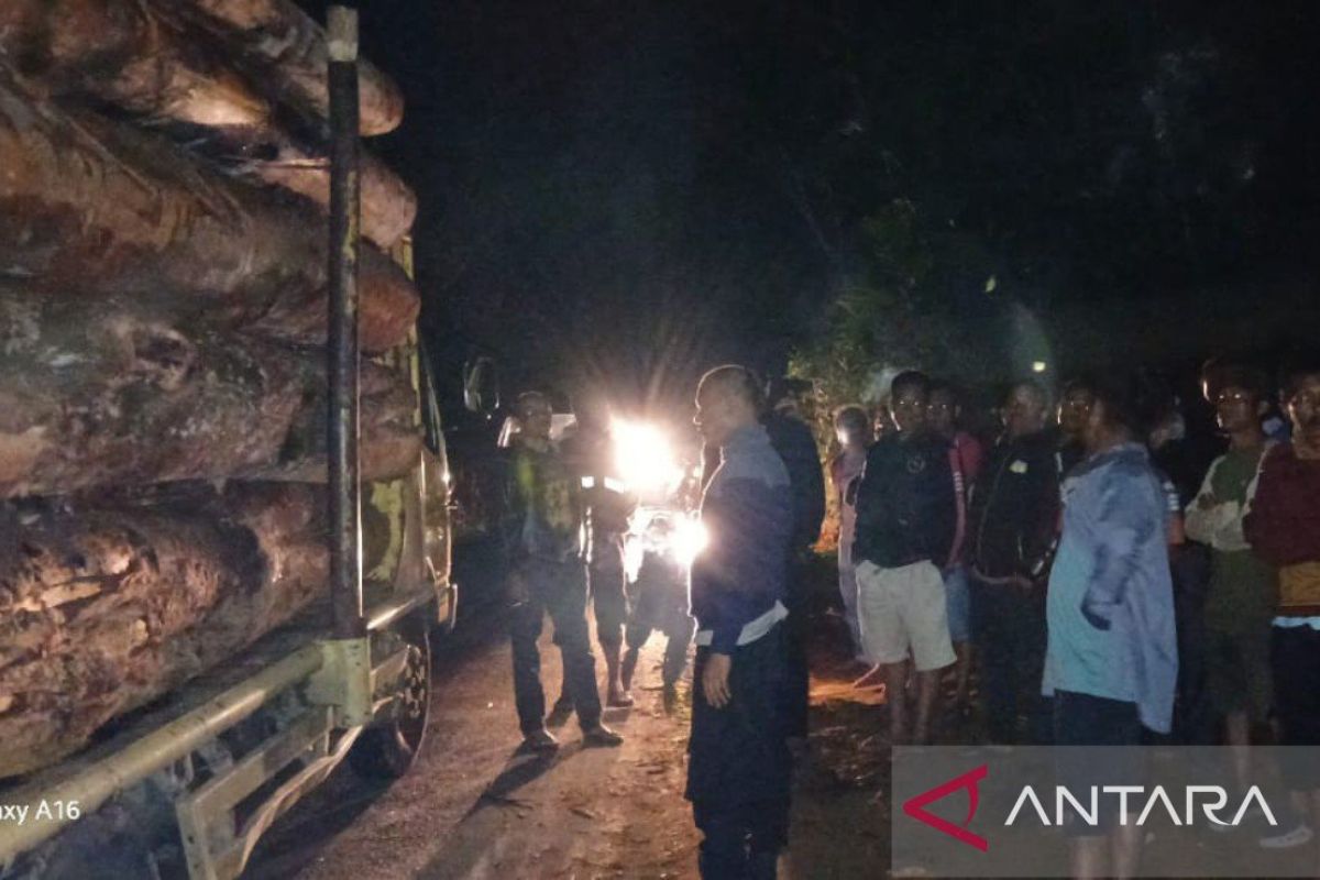 Anggota DPRD Taput desak penghentian penebangan hutan tanpa dokumen