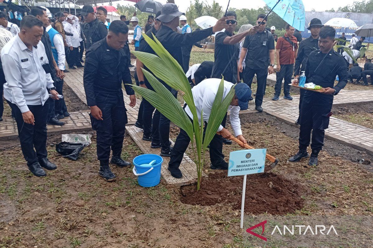 Kemenimipas tanam 360.700 bibit kelapa di seluruh Indonesia