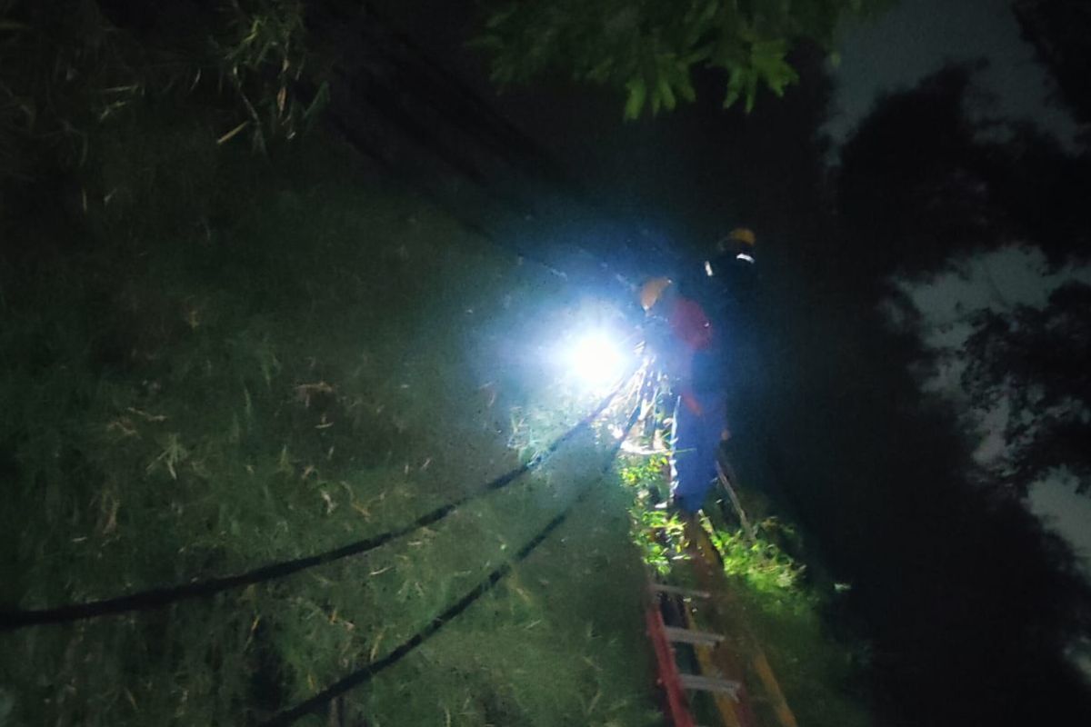 Bina Marga Jaksel bantu tangani kabel listrik terbakar di Kemang