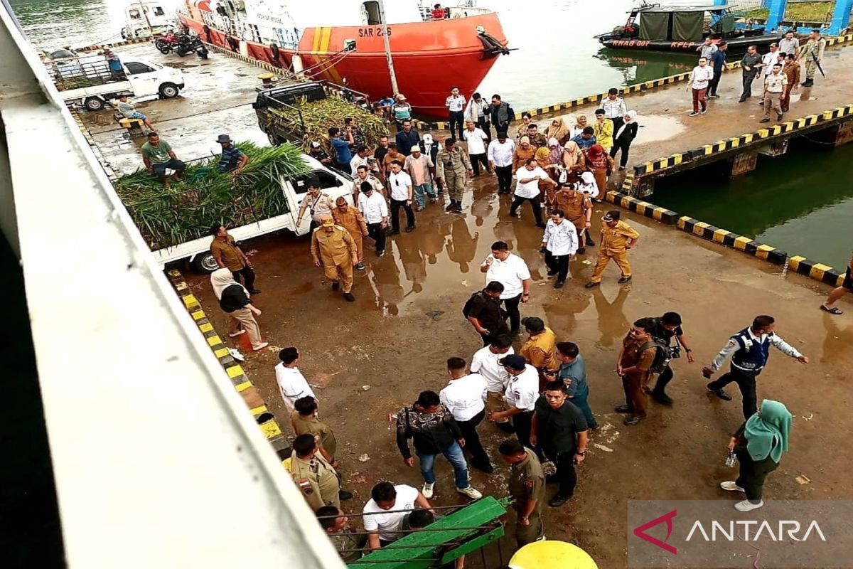 Gorontalo penuhi permintaan sapi potong dari Kaltim